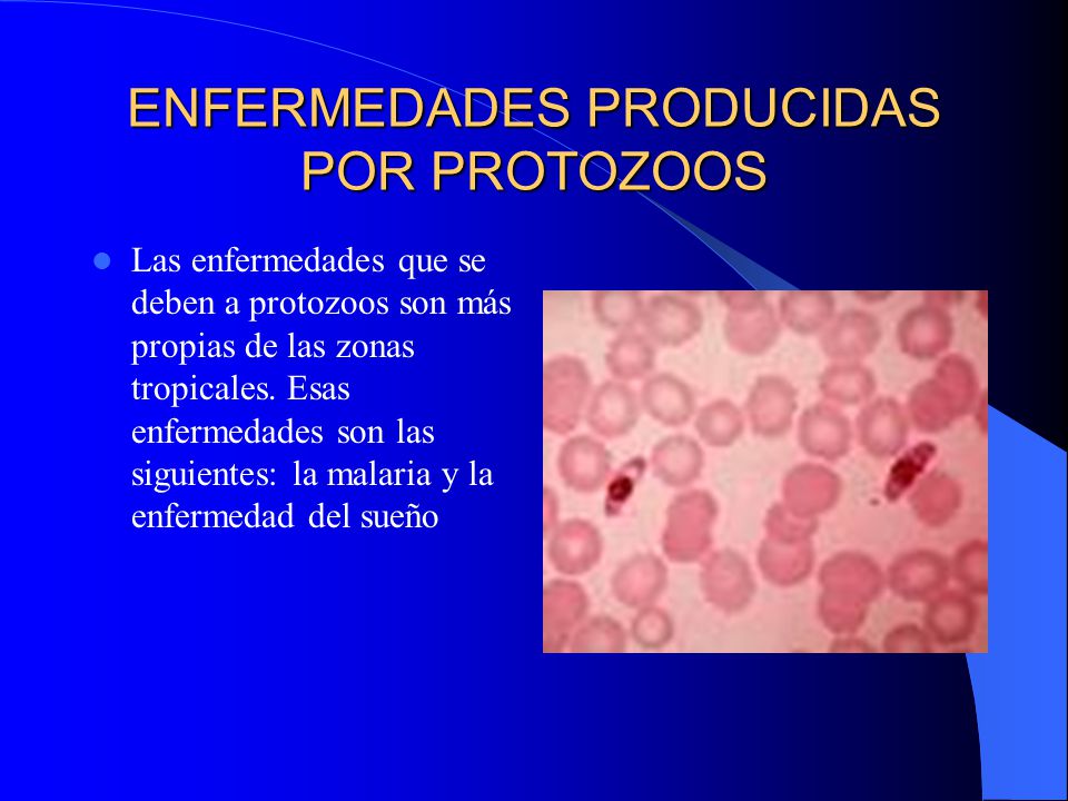 enfermedades causadas por los protozoos y su tratamiento
